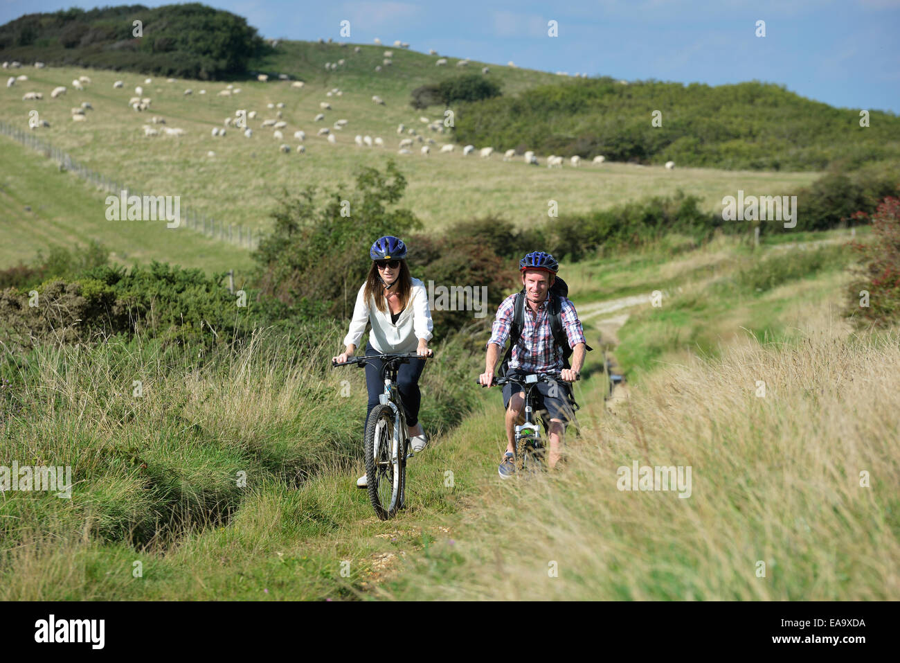 south downs way mtb