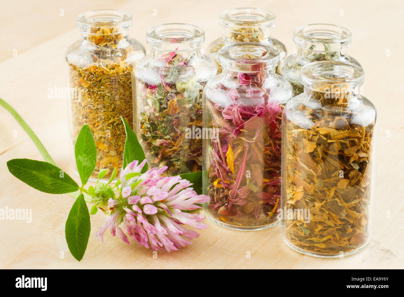 healing herbs in glass bottles, herbal medicine Stock Photo Alamy