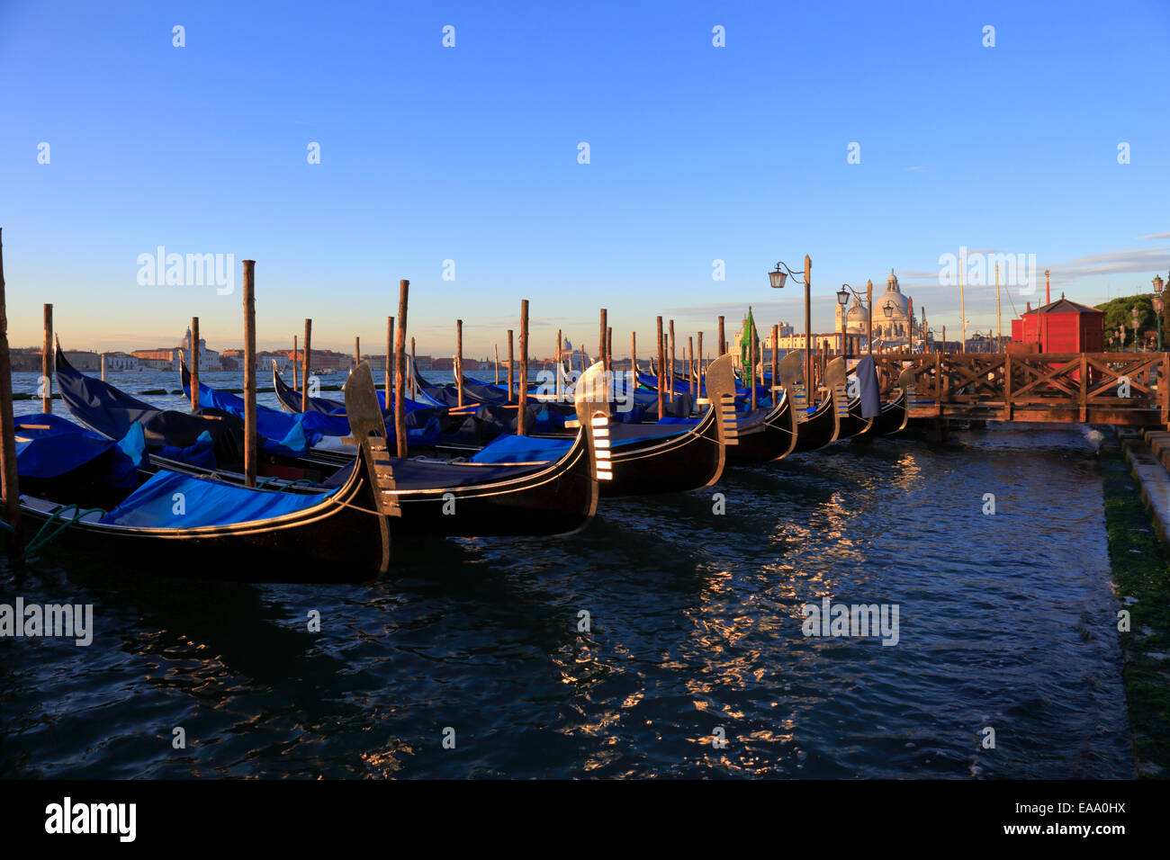 Gondolas at sunrise on St Mark's waterfront, Venice, Italy Stock Photo ...