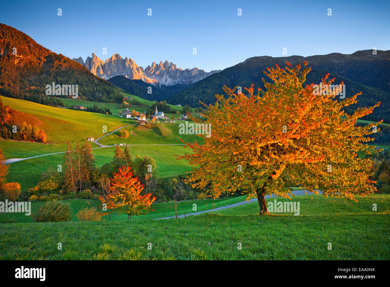 Autumn in  European Alps. Stock Photo