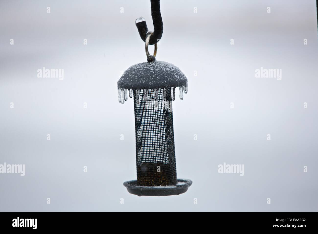 Ice on a bird feeder after freezing rain Stock Photo