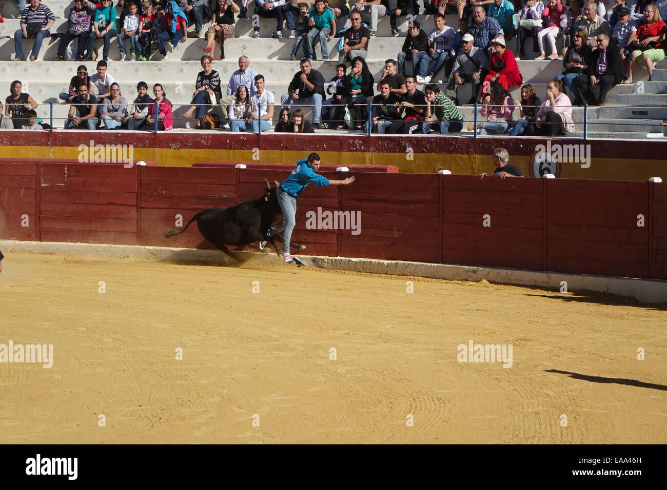 Benidorm, Costa Blanca, Spain. 10th Nov, 2014. Picture of Benidorm, Costa Blanca, Spain. 10th Nov, 2014. Picture of