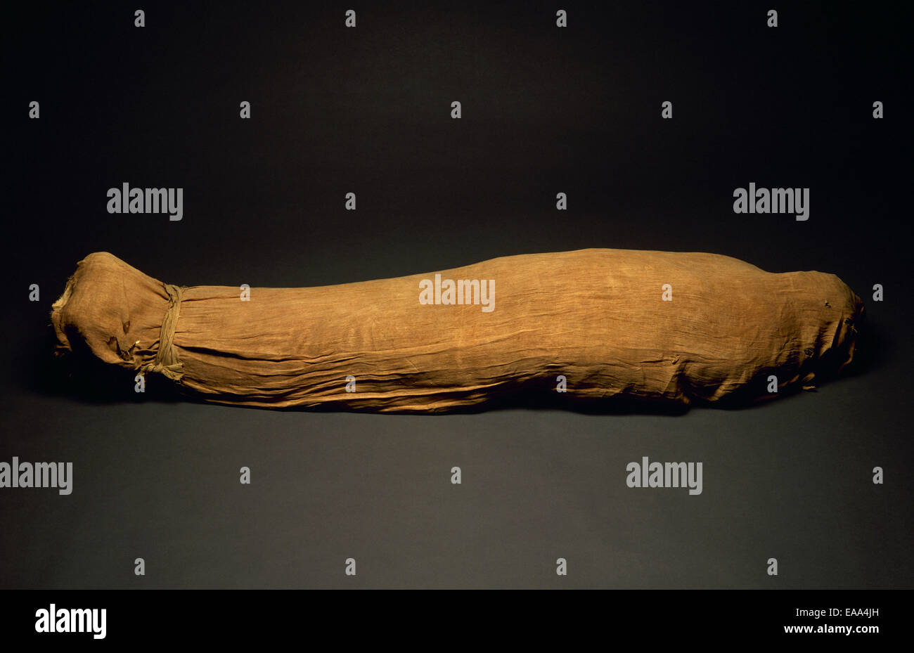 Egyptian mummy. National Archaeology Museum. Madrid. Spain. Stock Photo
