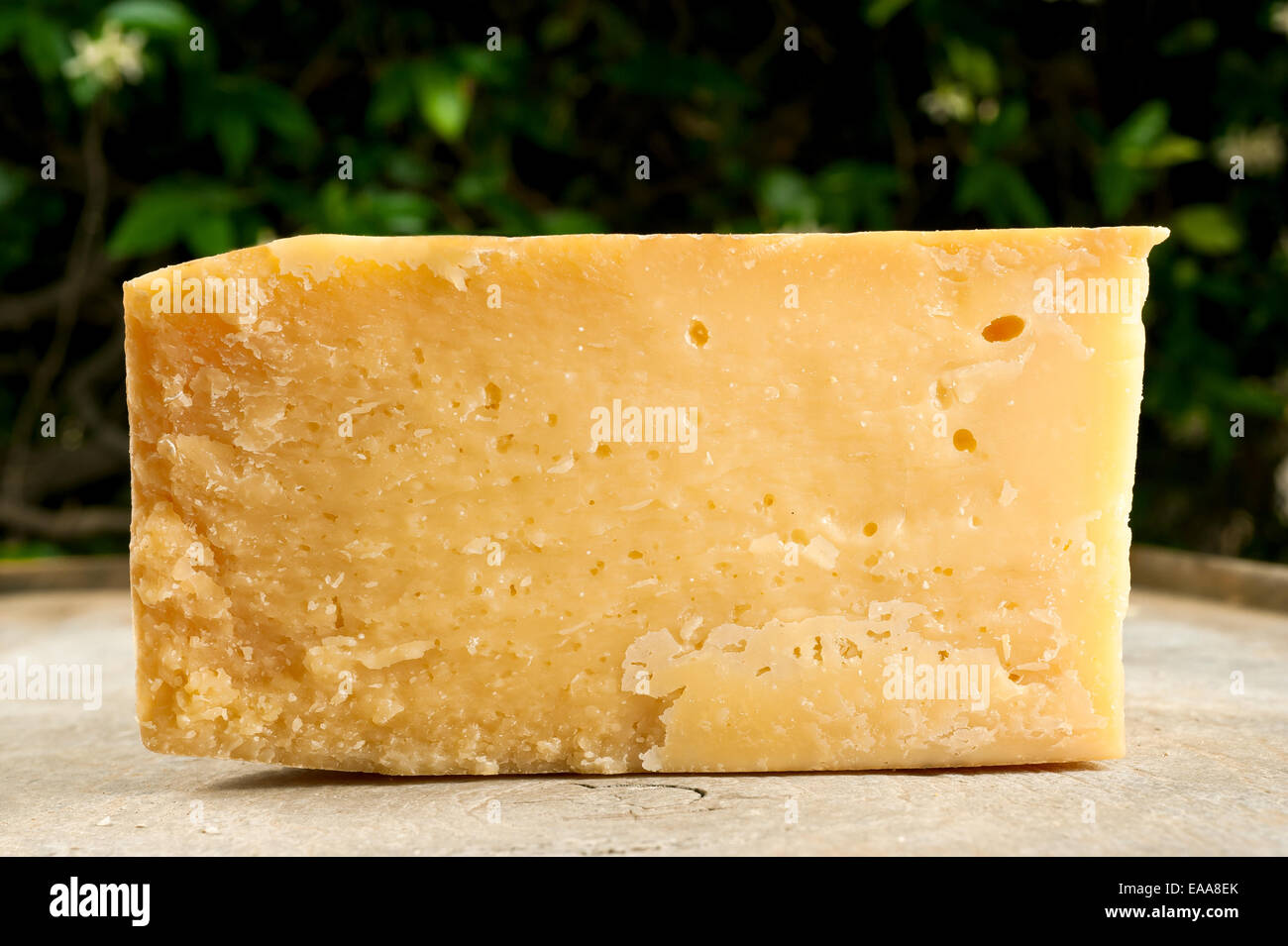 slice of aged cheese Stock Photo