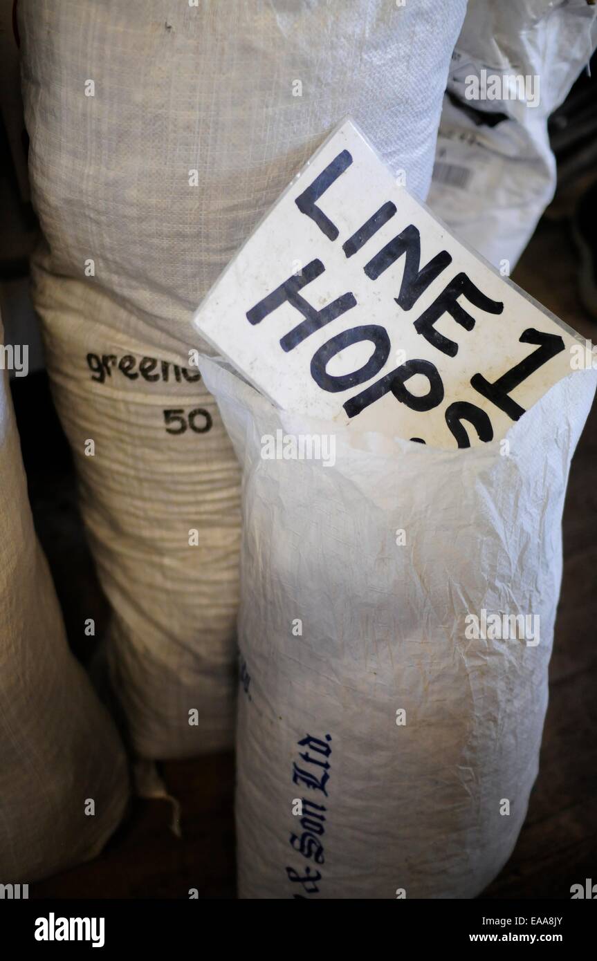 Sacks of hops at a brewery Stock Photo