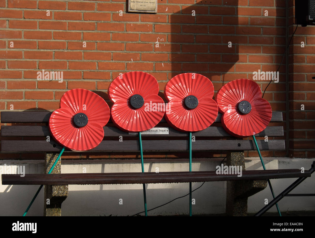 Giant remembrance  poppies on a bench Stock Photo