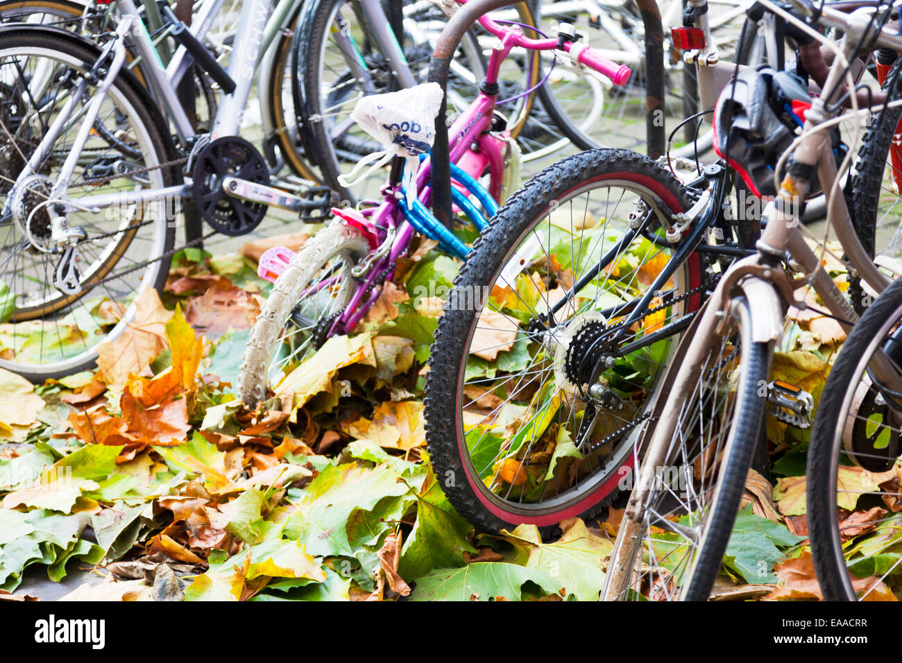 Push bikes hires stock photography and images Alamy