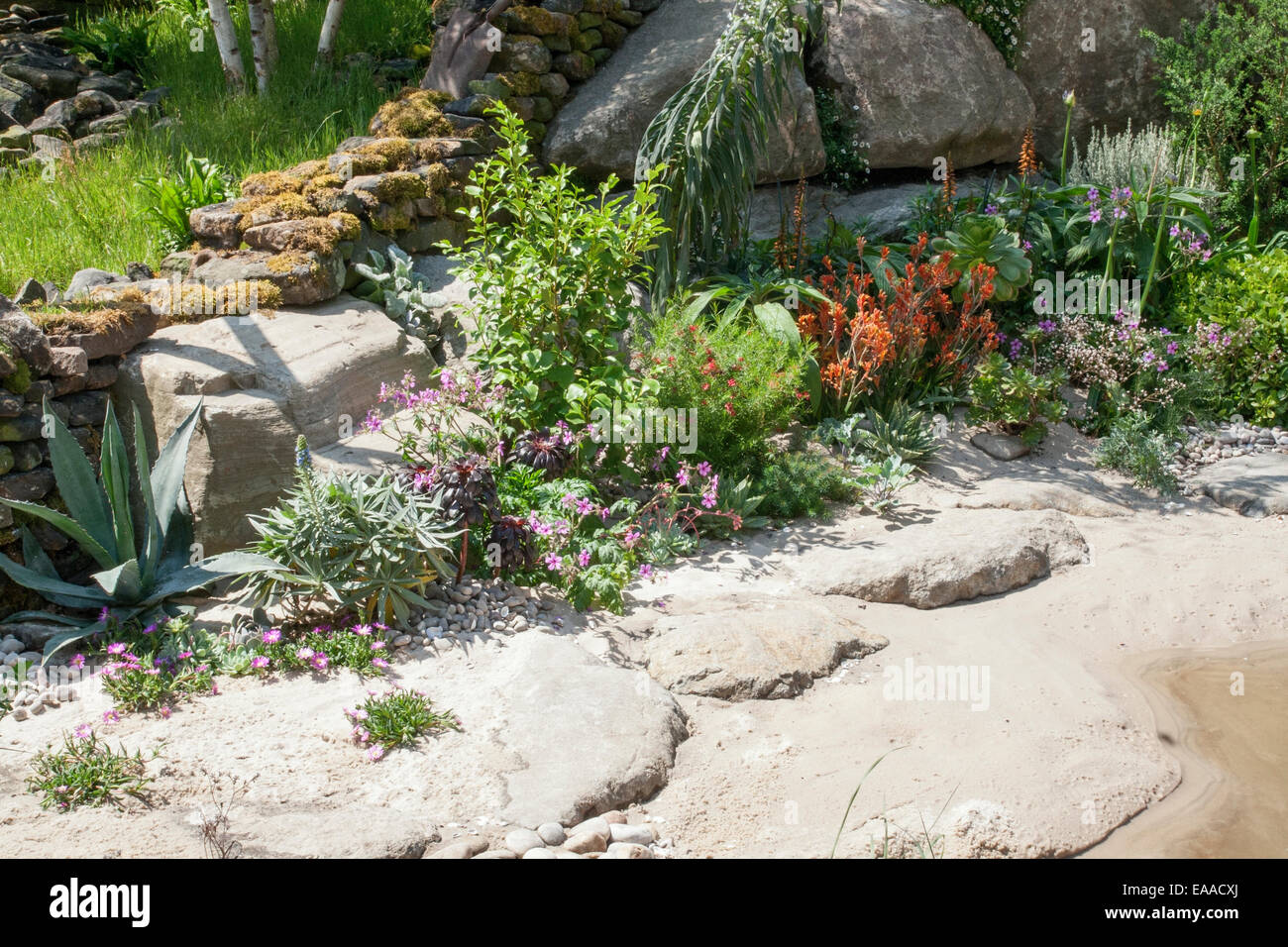 Chelsea Flower Show 2014.  The Alan Titchmarsh Garden - Moors to the Sea Stock Photo