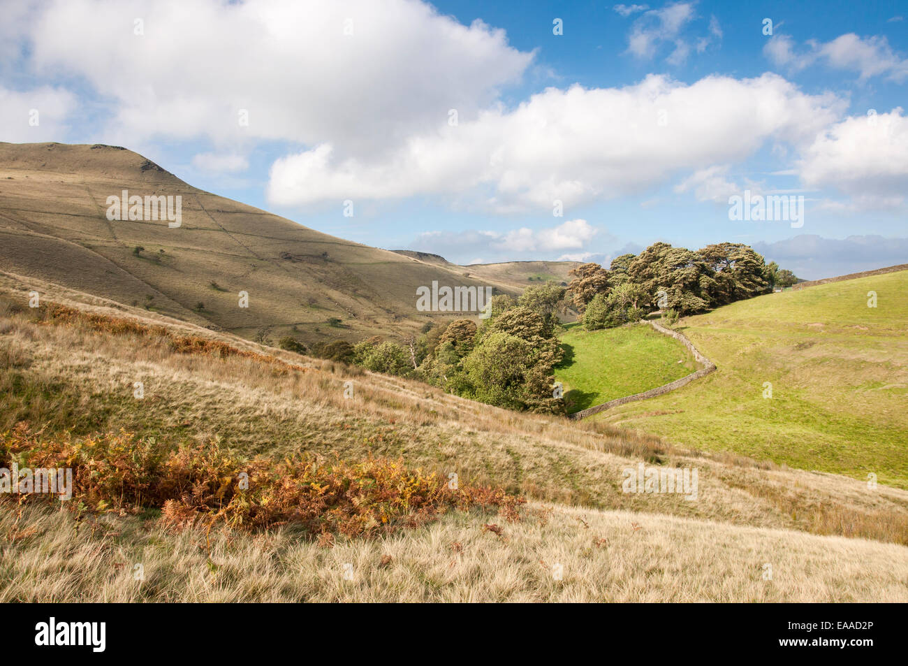 Landscape around South Head near Hayfield in the Peak District