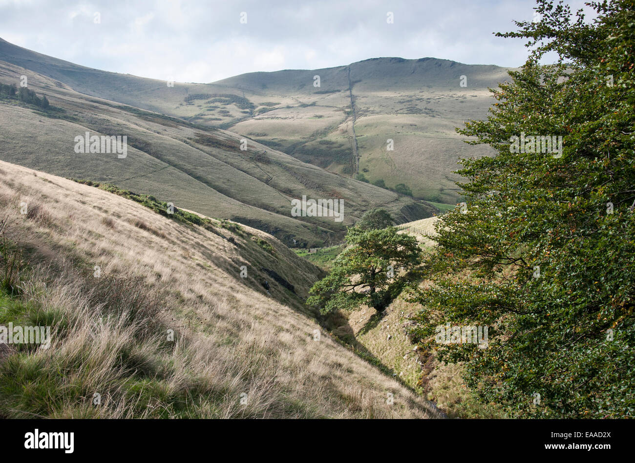Landscape around South Head near Hayfield in the Peak District