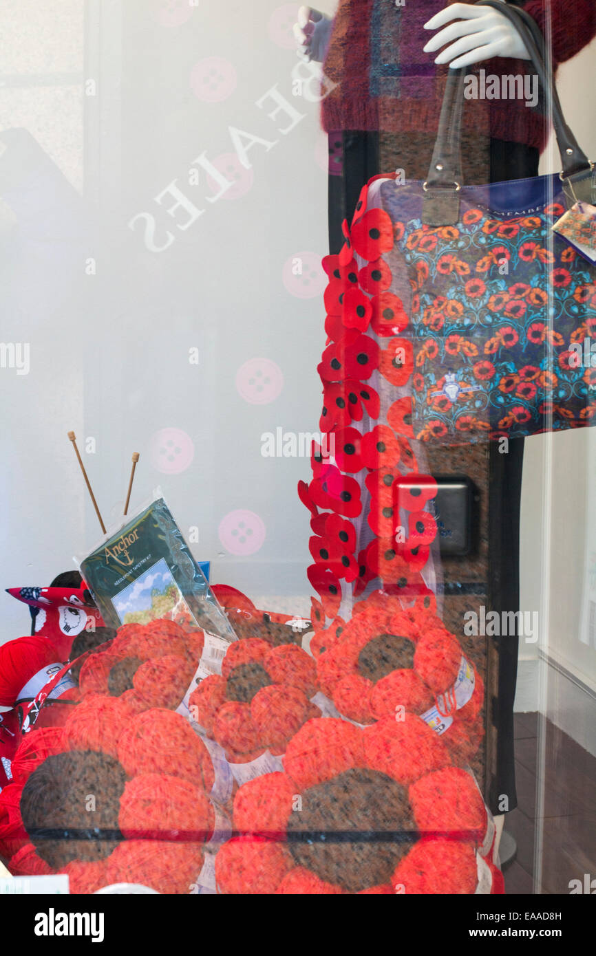 Bournemouth, Dorset, UK. 10th November, 2014. Poppy display in the shop window of Beales department store in Bournemouth with poppies created from balls of red and black wool for Remembrance Day. Credit:  Carolyn Jenkins/Alamy Live News Stock Photo