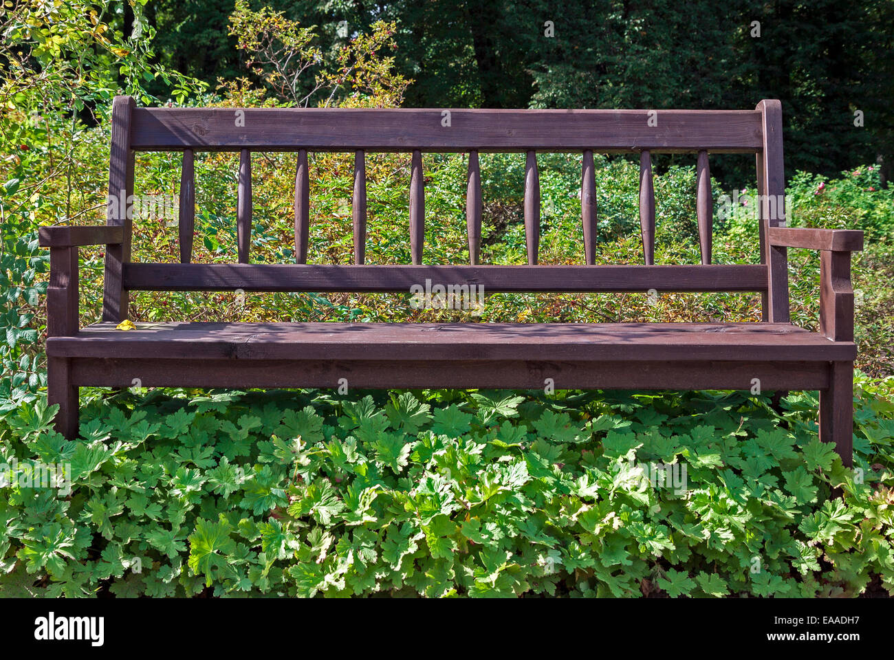 Empty and lonely bench in the park overgrown with weeds Stock Photo