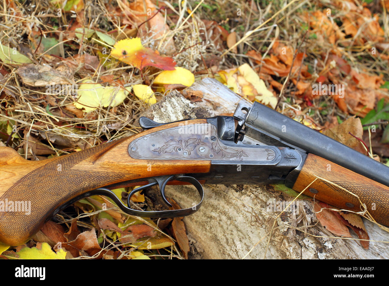 A wooden retro shotgun in autumn style Stock Photo