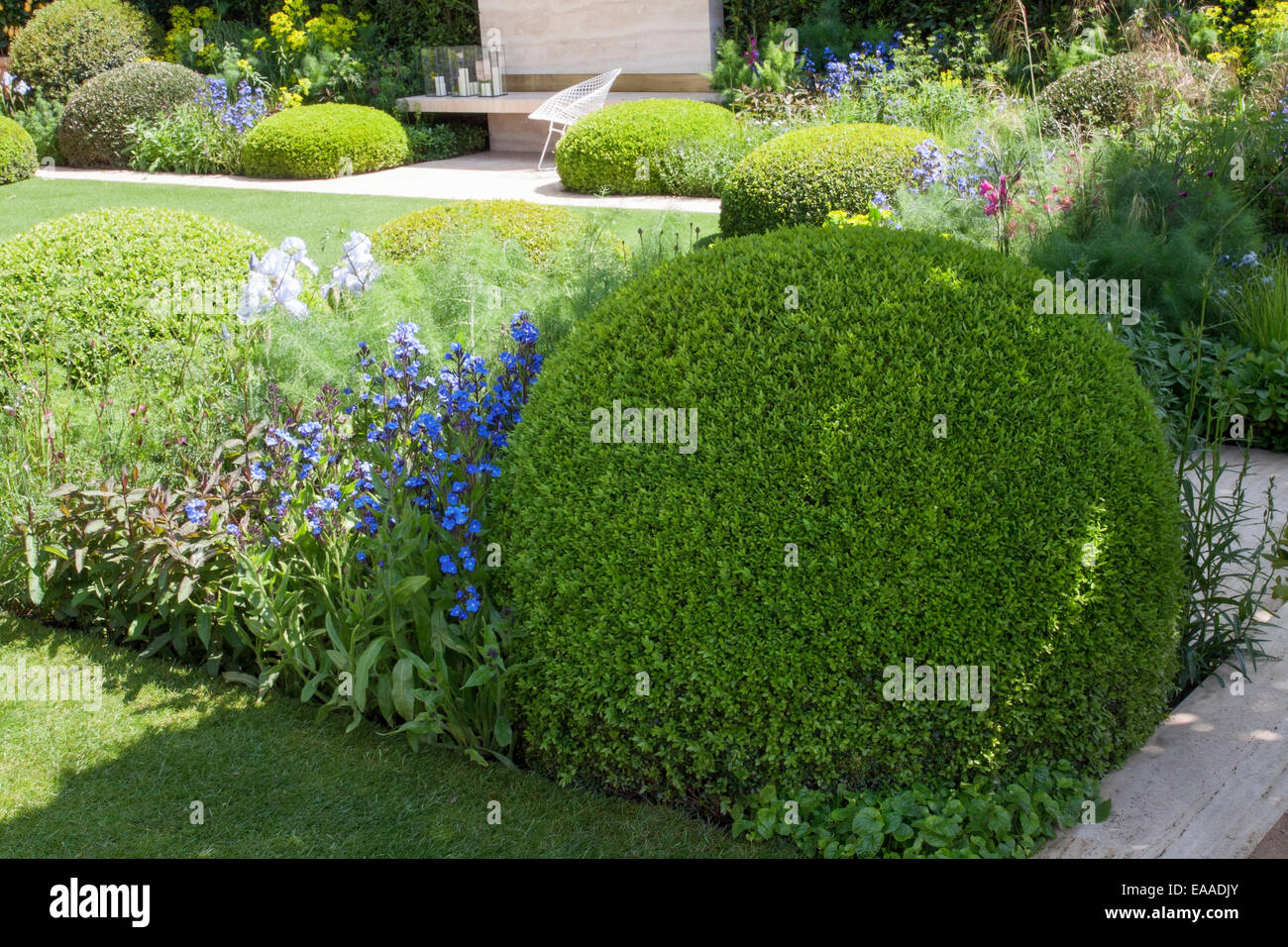 Chelsea Flower Show 2014  Clipped box (buxus) balls punctuating herbaceous perennial planting. Lawns and small patio Stock Photo
