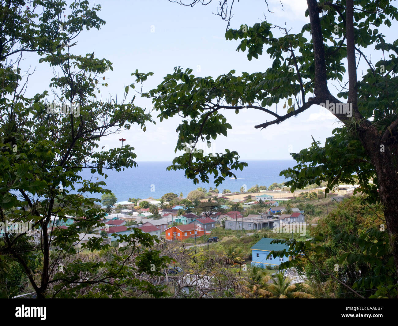 View of homes in St. Kitts Stock Photo Alamy