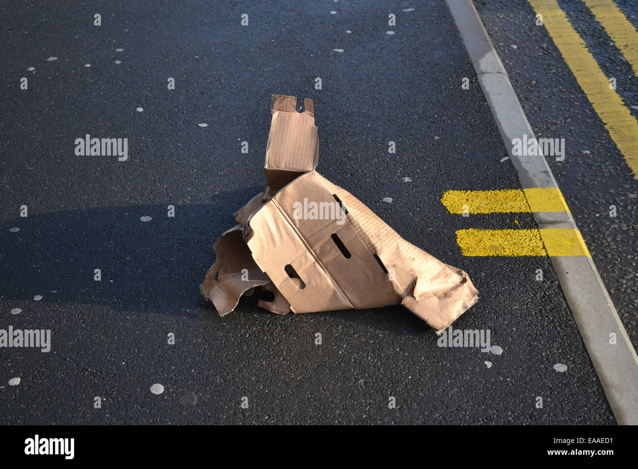 Abandoned cardboard box in the middle of the street Stock Photo Alamy