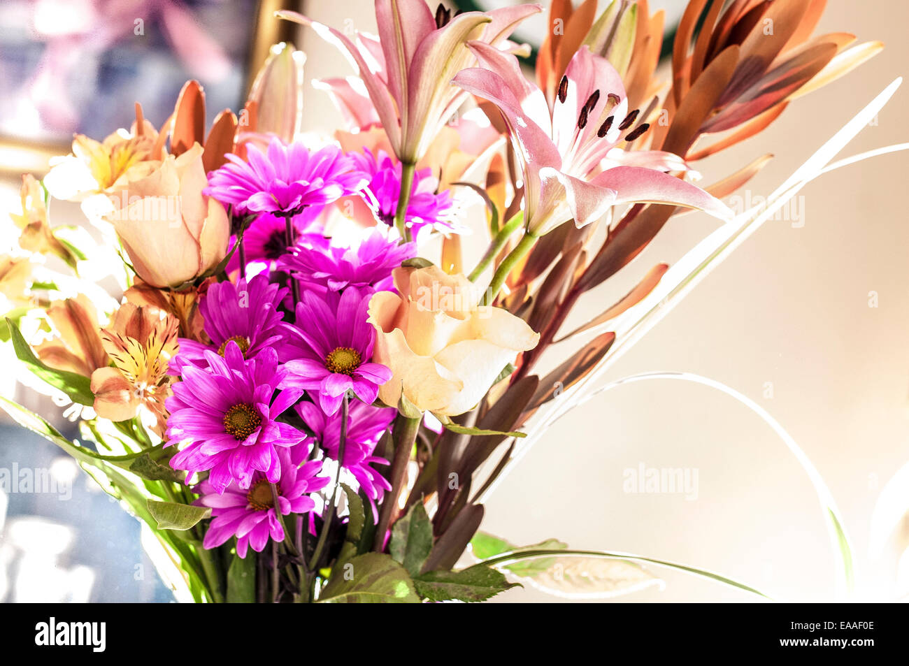 flower [flower arrangement]  sidelight [high key] Stock Photo
