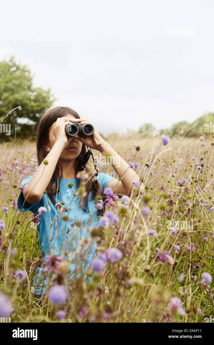 A girl holding binoculars, a young bird watcher standing in a meadow of tall grass and wild flowers. Stock Photo