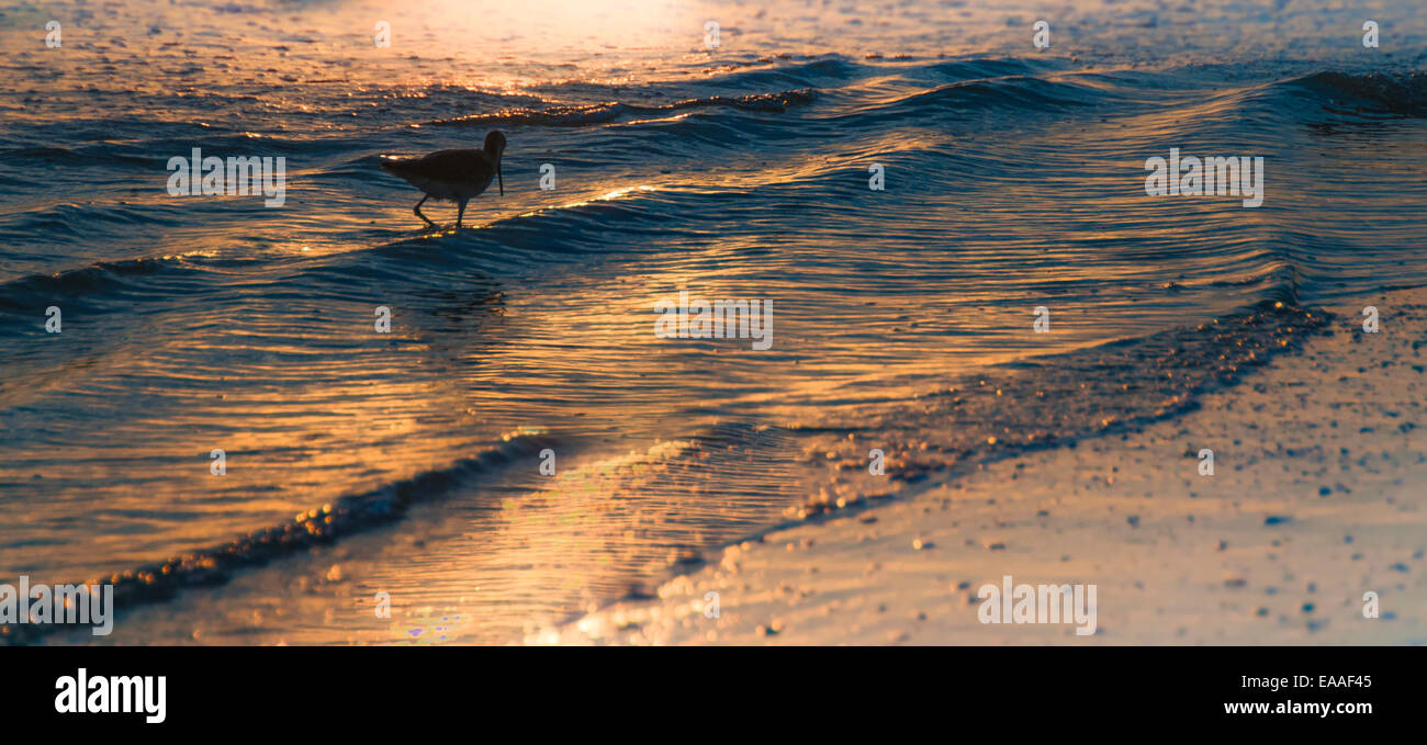 Closeup sunset sea waves hi-res stock photography and images - Alamy