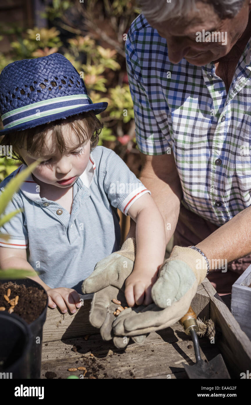 Man and a young child gardening, planting seeds. Stock Photo