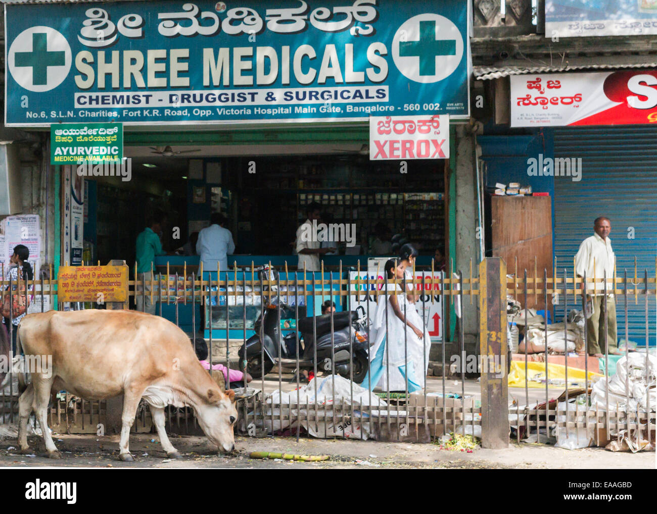 Pharmacy in old town Bangalore. Stock Photo