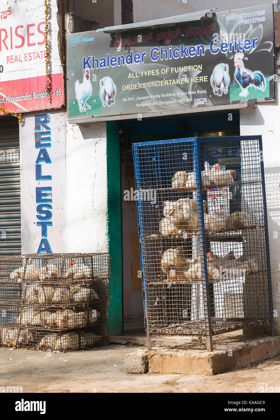 Chicken butcher in Bangalore. Stock Photo