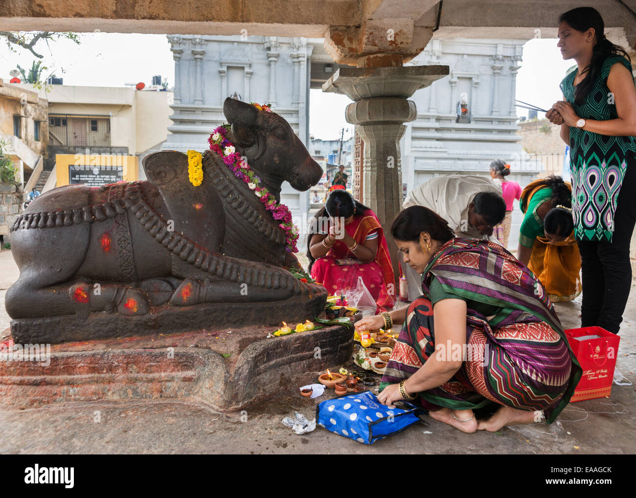 Worshiping Nandi at Sri Naheshwara in Bangalore. Stock Photo