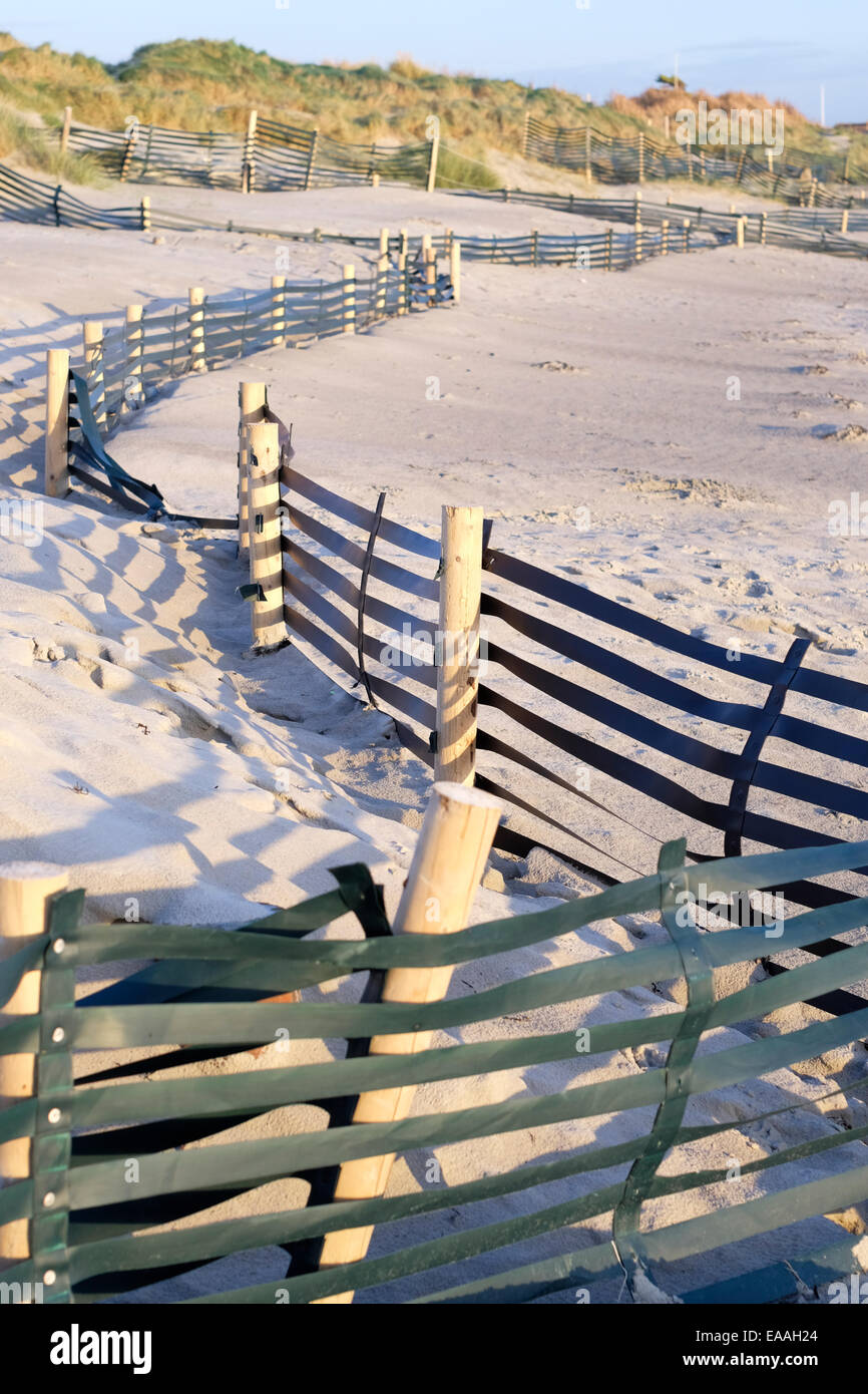England, Sussex, West Wittering. Sand fences designed to stabilise dunes  form part of the coastal defence system. Stock Photo