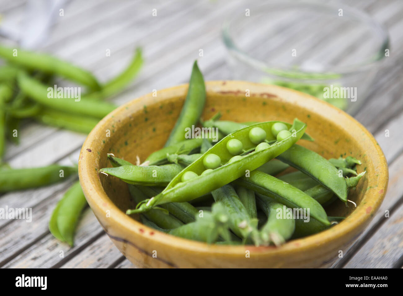 Bowl of freshly picked peas. Stock Photo