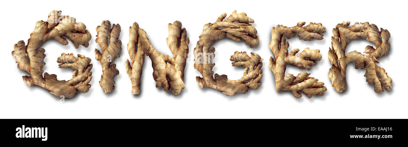 Ginger root health food concept as the asian vegetable shaped as text as a symbol and icon to a healthy diet Stock Photo