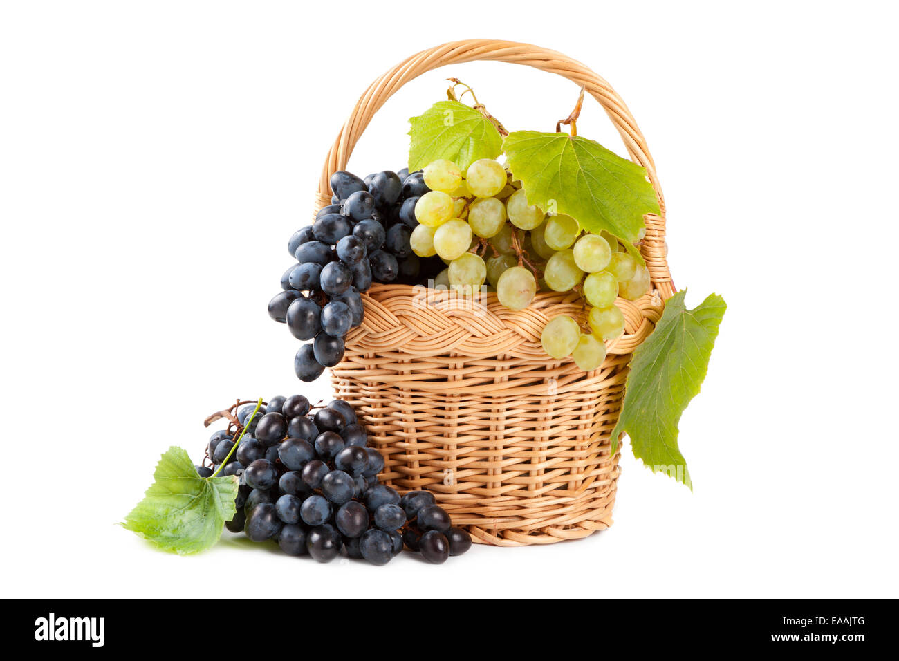 Grapes on the vine Cut Out Stock Images & Pictures Alamy