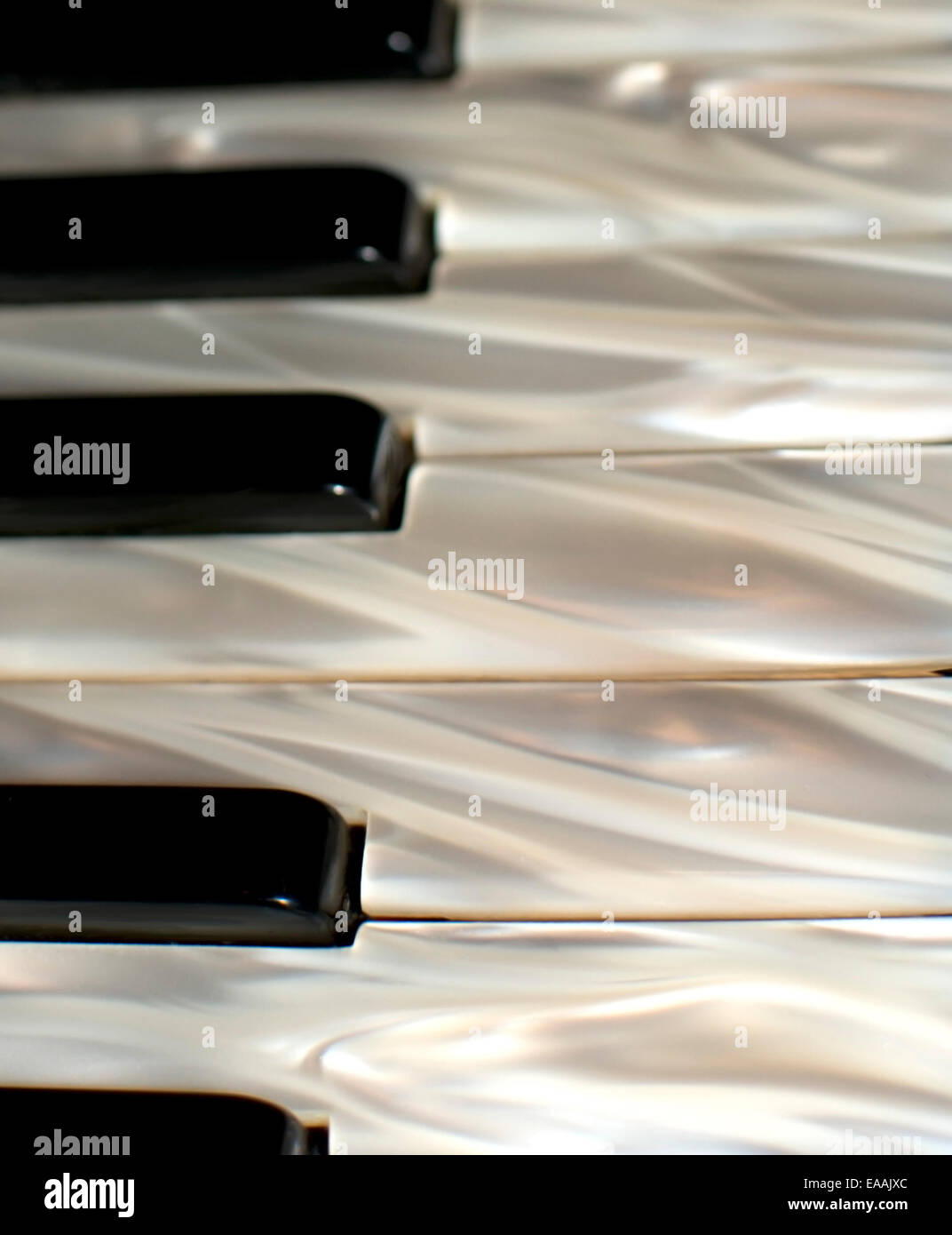 Accordion keyboard closeup with black and white buttons in mother of