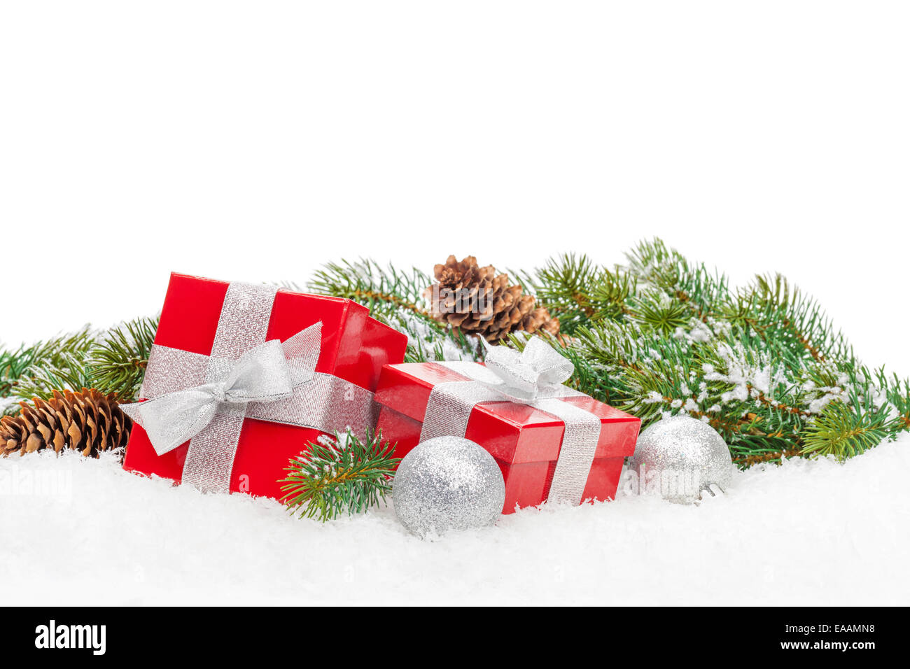 Christmas gift boxes and snow fir tree. Isolated on white background ...