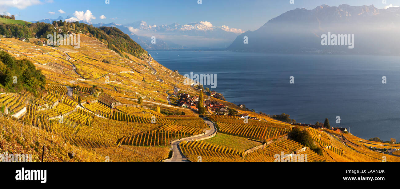 The Village Of Epesses In The World Heritage Area Of Lavaux 
