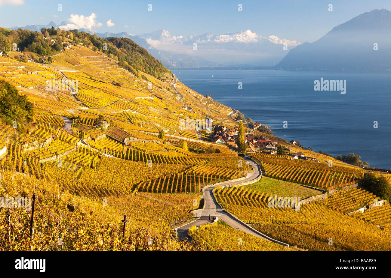 The Village of Epesses in the World Heritage Area of Lavaux, Switzerland Stock Photo