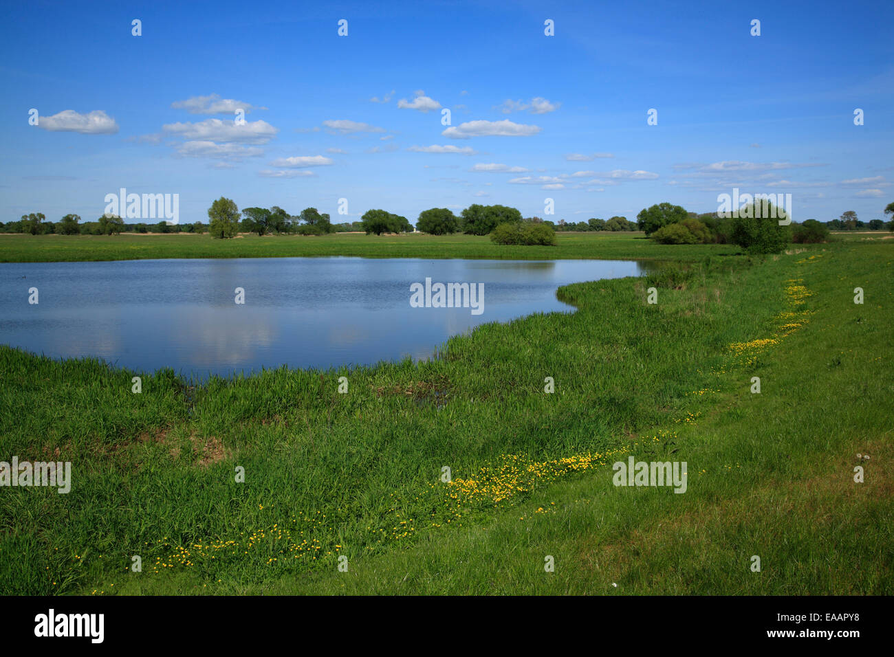 Altmark landscape hi-res stock photography and images - Alamy