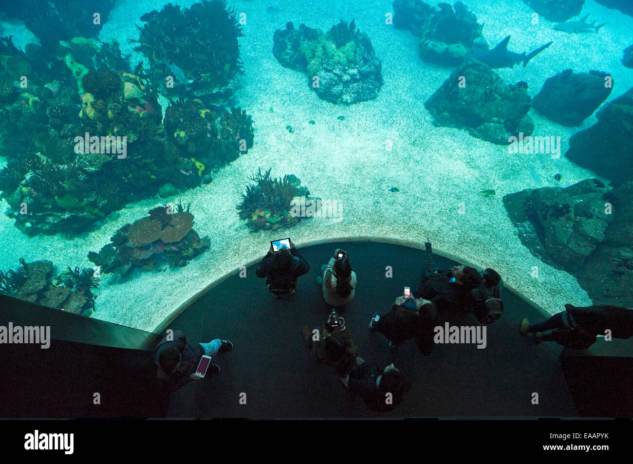 Horizontal aerial view of visitors at Oceanario de Lisboa aquarium in Lisbon. Stock Photo
