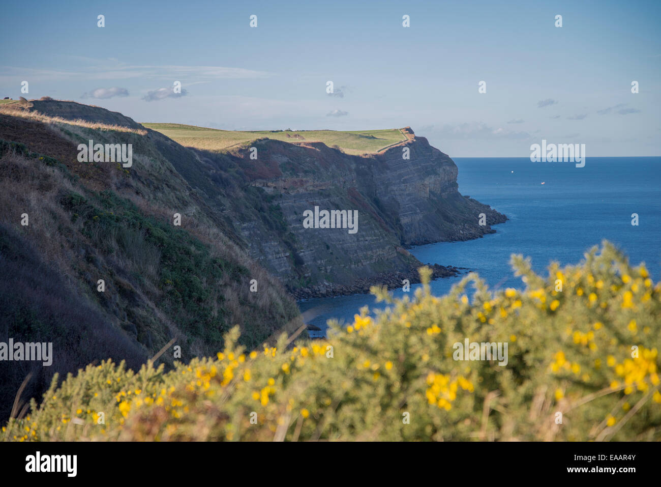 View of cliff tops from the Cleveland Way between Robin Hoods Bay and Whitby, North Yorkshire, England Stock Photo