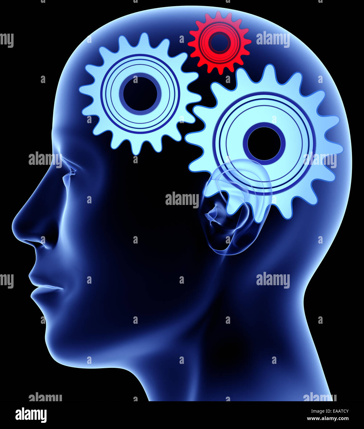 Gears In Head Brain Hi res Stock Photography And Images Alamy Gears In Head Brain Hi res Stock Photography And Images Alamy