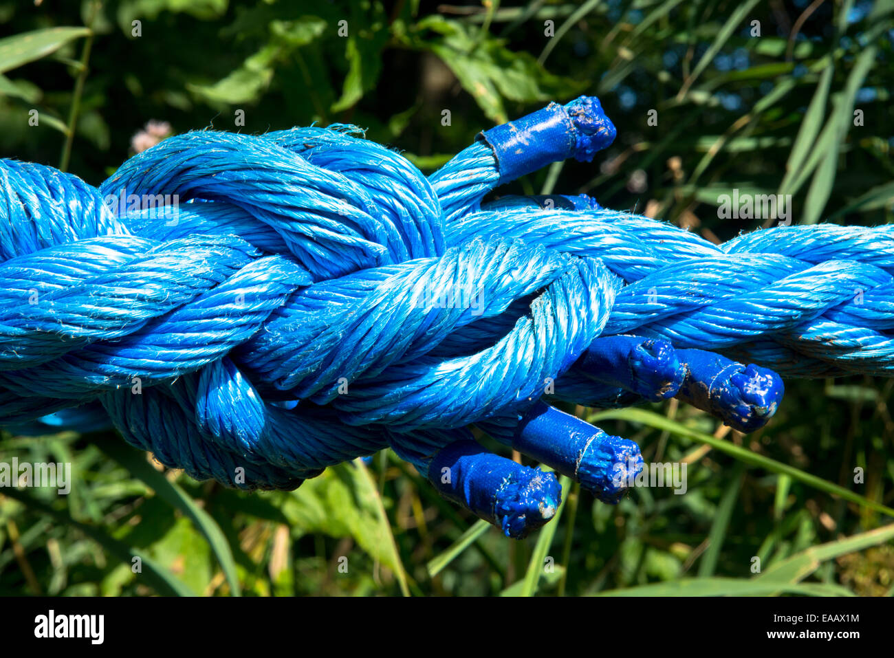 tied piece of blue nylon rope Stock Photo