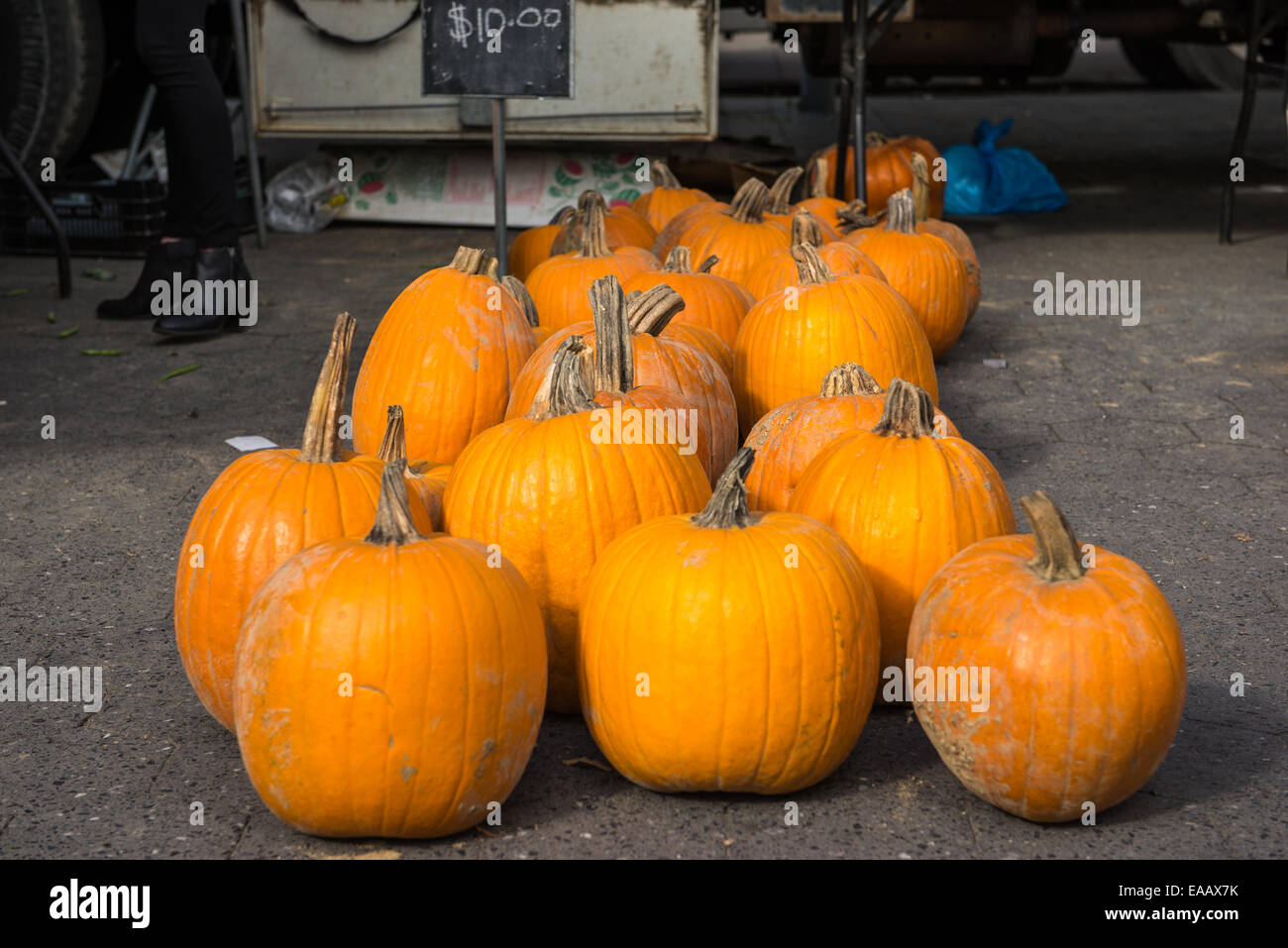 Several pumpkins are arranged for display at a fruit and vegetables