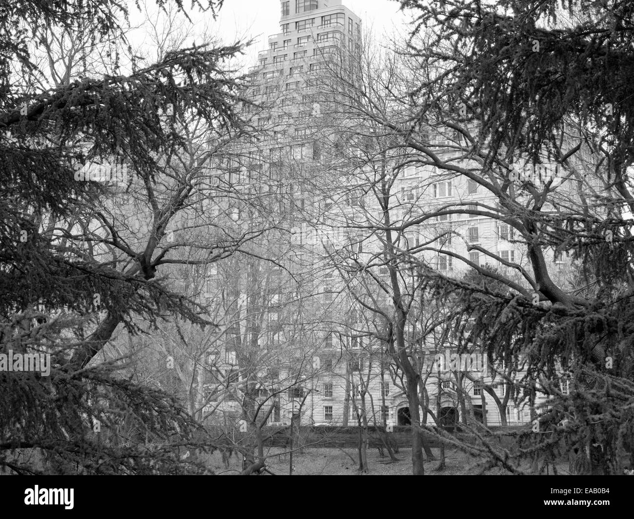 view of building on Central Park West through trees in Central Park Stock Photo
