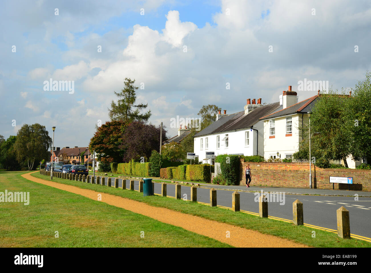 West Common, Gerrards Cross Common, Gerrards Cross, Buckinghamshire