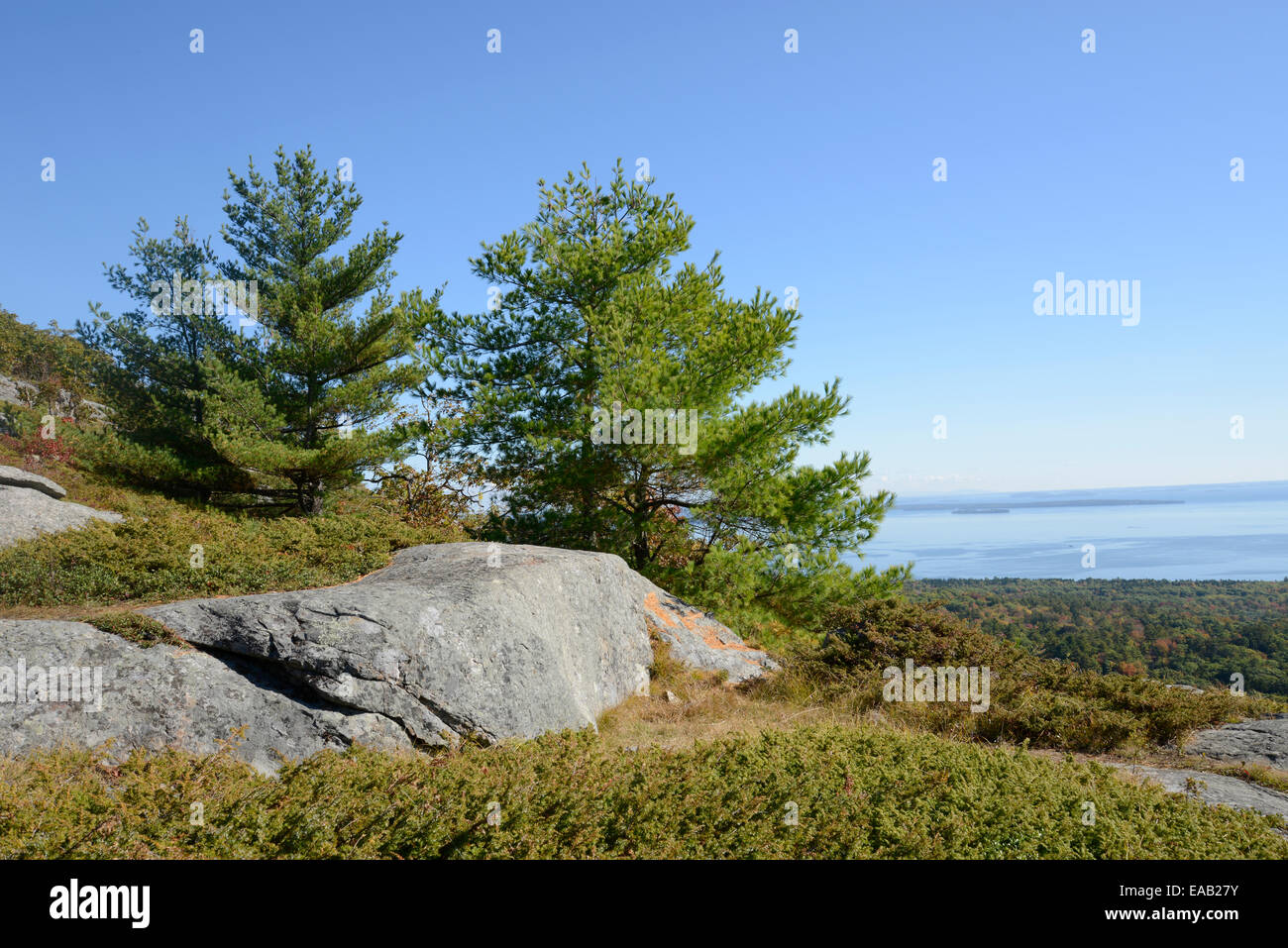 View from Mount Battie in Camden, Maine. There are evergreen trees and