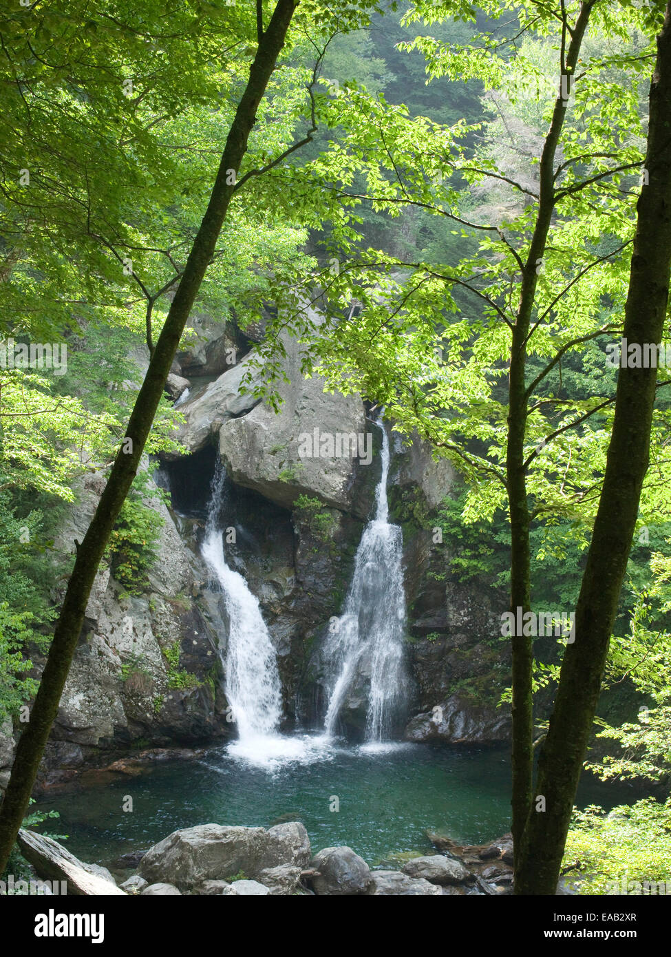 Summer Bash Hi Res Stock Photography And Images Alamy