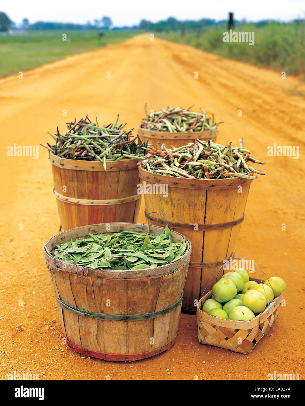 Bushel of tomatoes hires stock photography and images Alamy