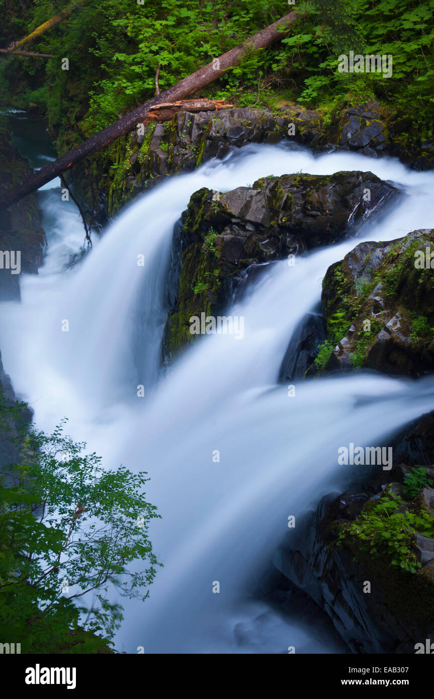 Sol Duc Falls in Olympic National Park, Washington, USA Stock Photo
