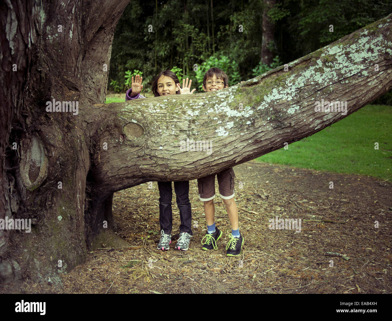 Boy and girl hide behind tree branch Stock Photo