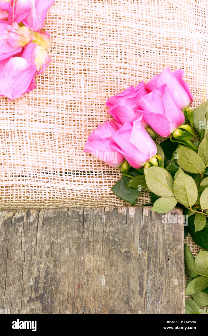 pink roses and petals on the floor Stock Photo Alamy