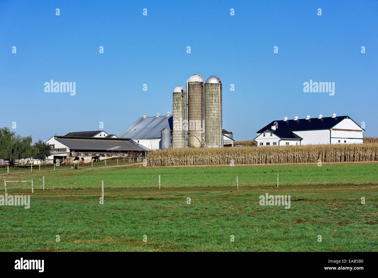 Amish farm, New Holland, Lancaster, Pennsylvania, USA Stock Photo